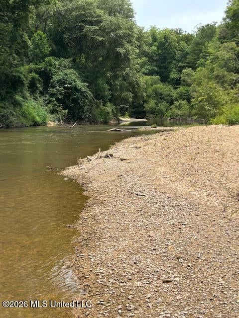 Vacant Land For Sale - TBD Leatherwood Road<br/> Tylertown, MS 39667