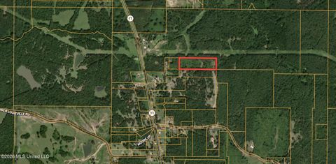 Vacant Land For Sale - Mississippi 17<br/> Lexington, MS 39095