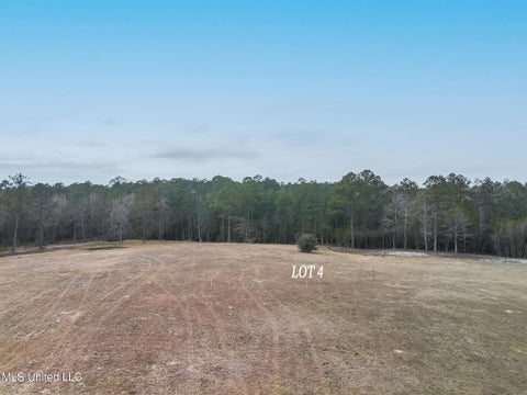 Vacant Land For Sale - LOT 4 Kahler Lane<br/> McHenry, MS 39561