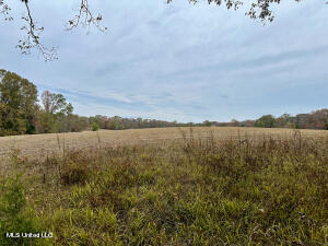 2 Lifer Road, Clinton, Mississippi image 1