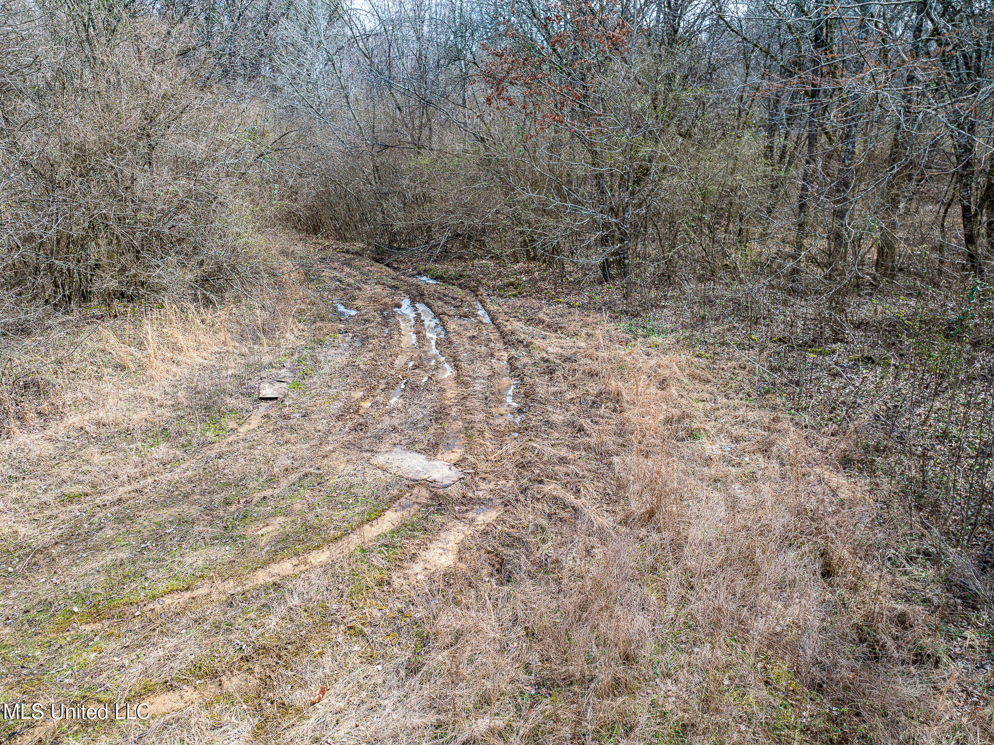 Cayce Road, Byhalia, Mississippi image 20