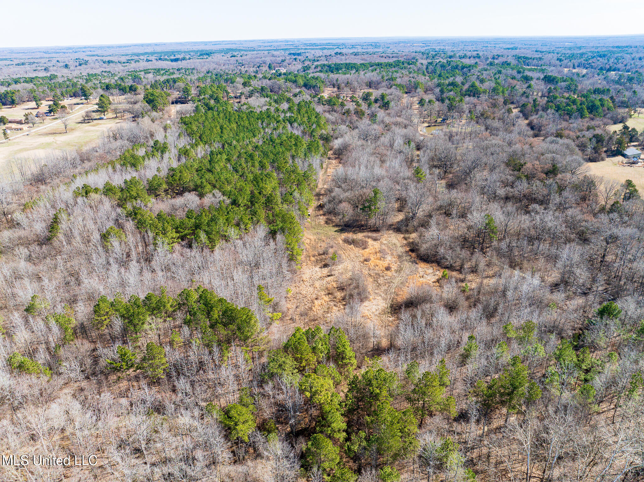Cayce Road, Byhalia, Mississippi image 6