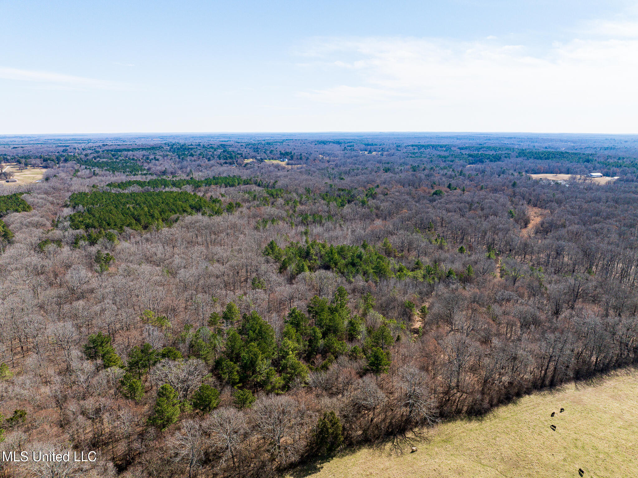 Cayce Road, Byhalia, Mississippi image 7