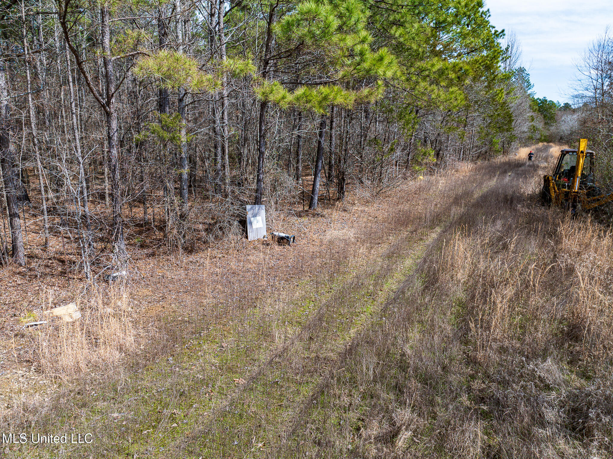 Cayce Road, Byhalia, Mississippi image 12