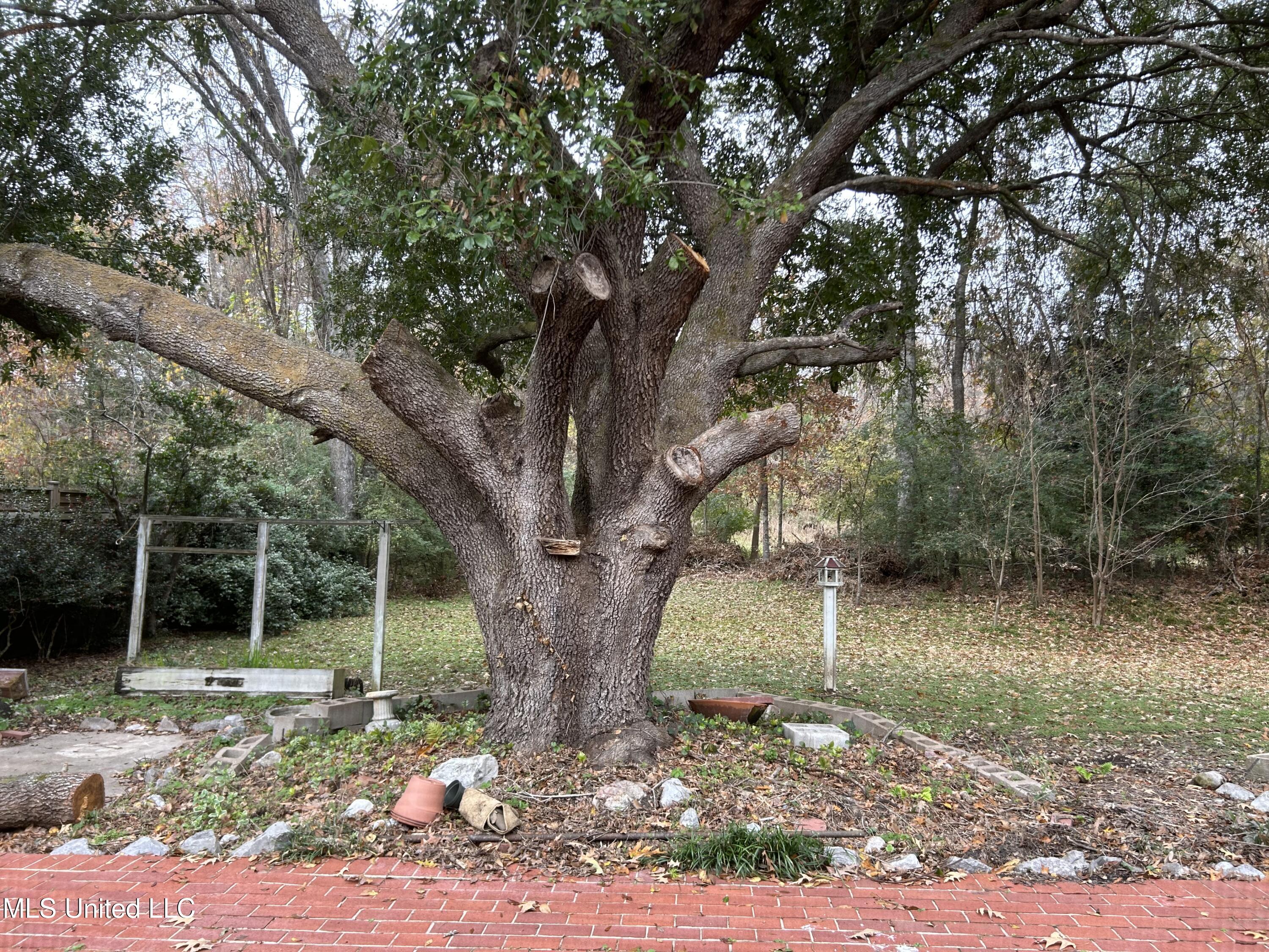 202 Tangelwood Road, Natchez, Mississippi image 20