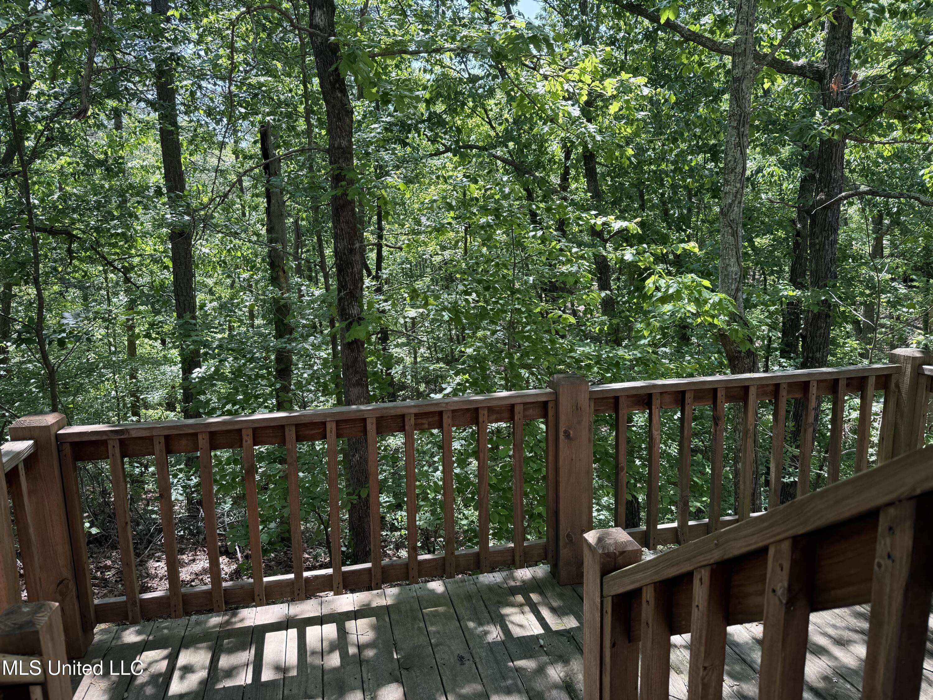 14 Patsy Path #98, Iuka, Mississippi image 30