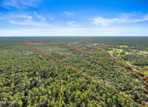 Vacant Land For Sale - Reese Drive<br/> Saucier, MS 39574