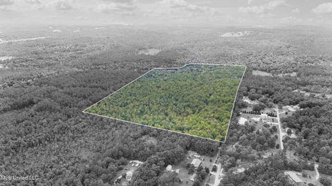 Vacant Land For Sale - Yankee Town Road<br/> Saucier, MS 39574