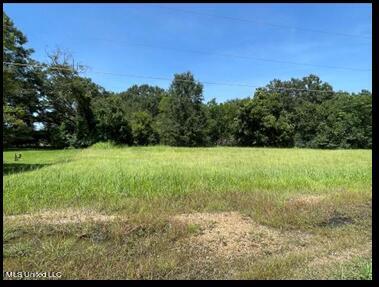 Harris Lane, Madison, Mississippi image 3