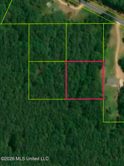 Vacant Land For Sale - SW Summit Drive<br/> Bogue Chitto, MS 39629