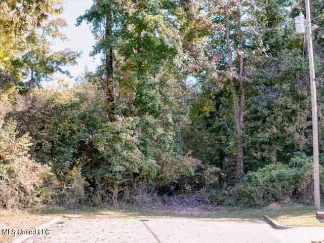 0000 Long Meadow Drive, Vicksburg, Mississippi image 26