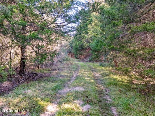 0000 Long Meadow Drive, Vicksburg, Mississippi image 3