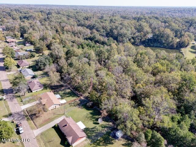 0000 Long Meadow Drive, Vicksburg, Mississippi image 7