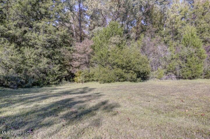 0000 Long Meadow Drive, Vicksburg, Mississippi image 27