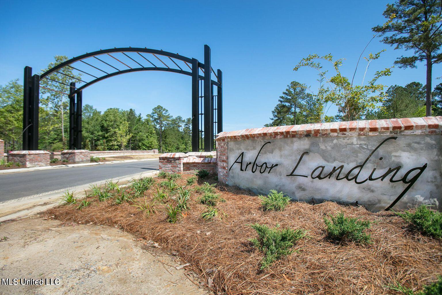168 Bald Eagle Drive, Brandon, Mississippi image 1