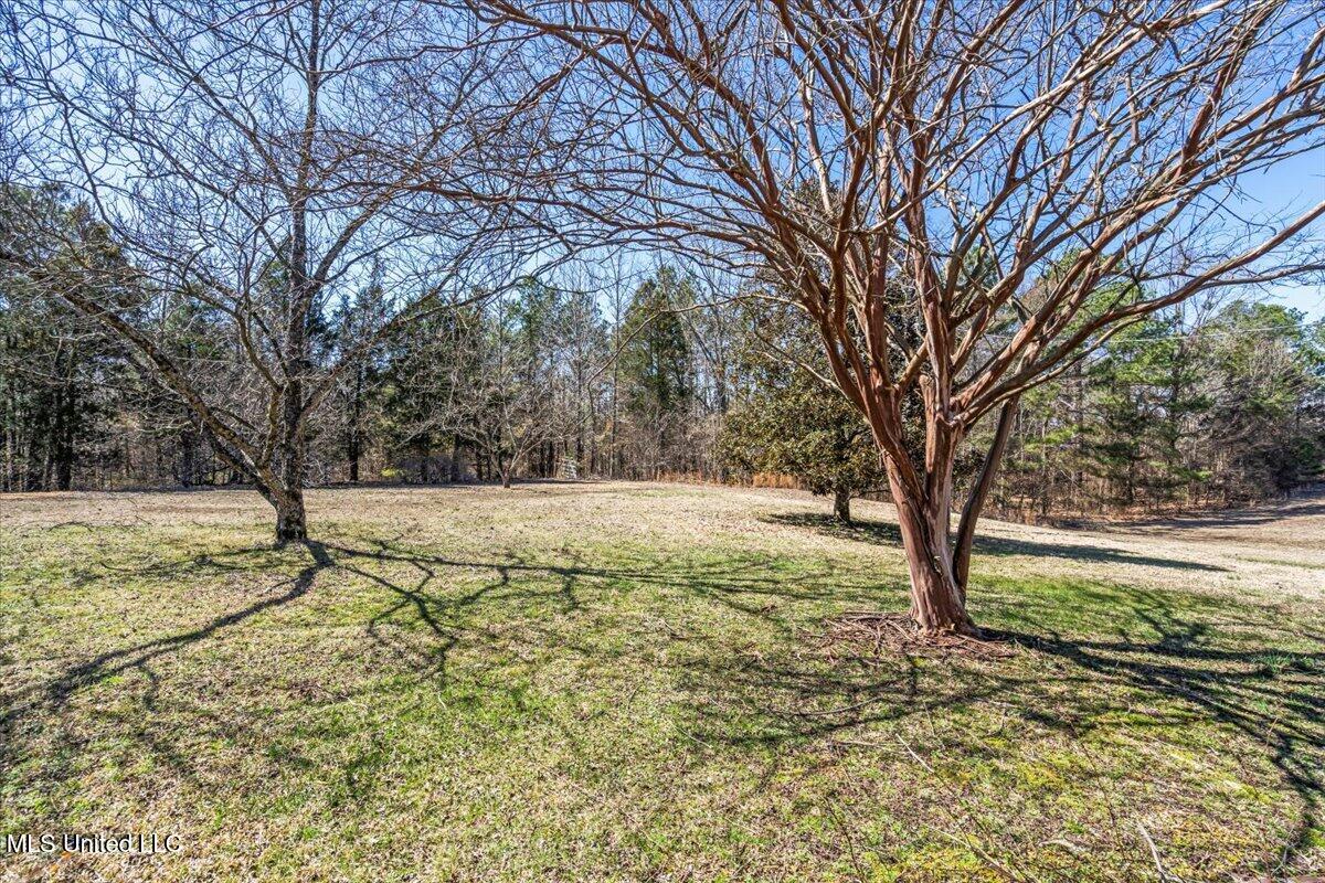 5187 Ms-311, Holly Springs, Mississippi image 30
