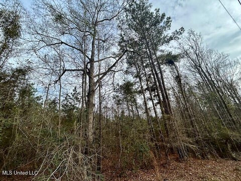 Vacant Land For Sale - SE Lee Drive<br/> Bogue Chitto, MS 39629