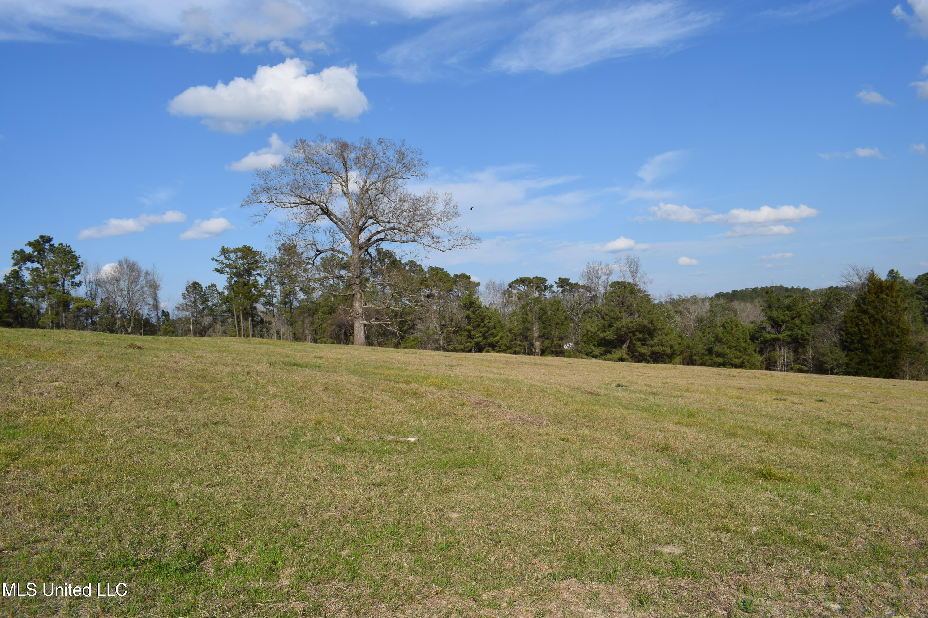 21.61 Ac Hwy 26, Lucedale, Mississippi image 20