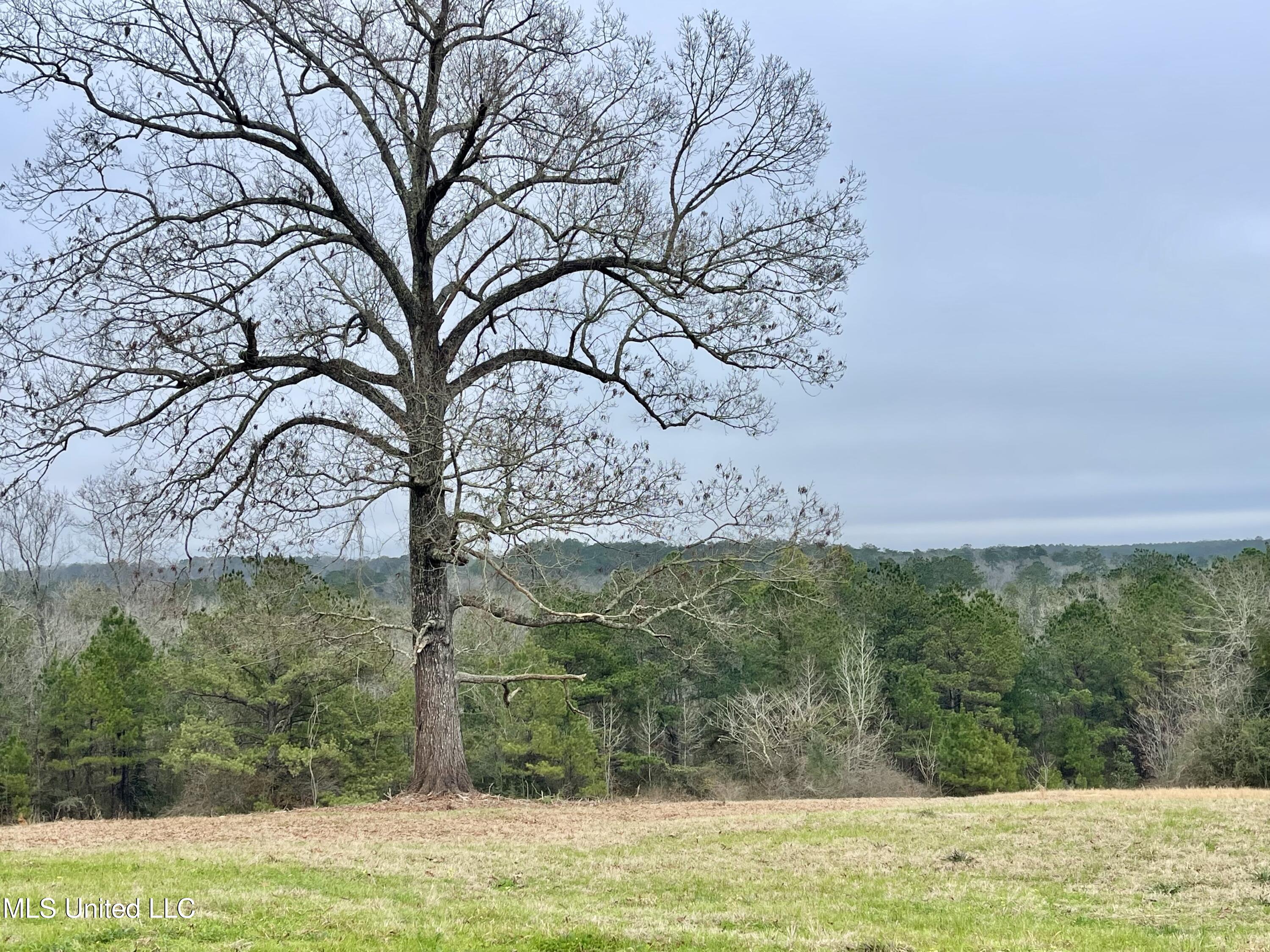 21.61 Ac Hwy 26, Lucedale, Mississippi image 27