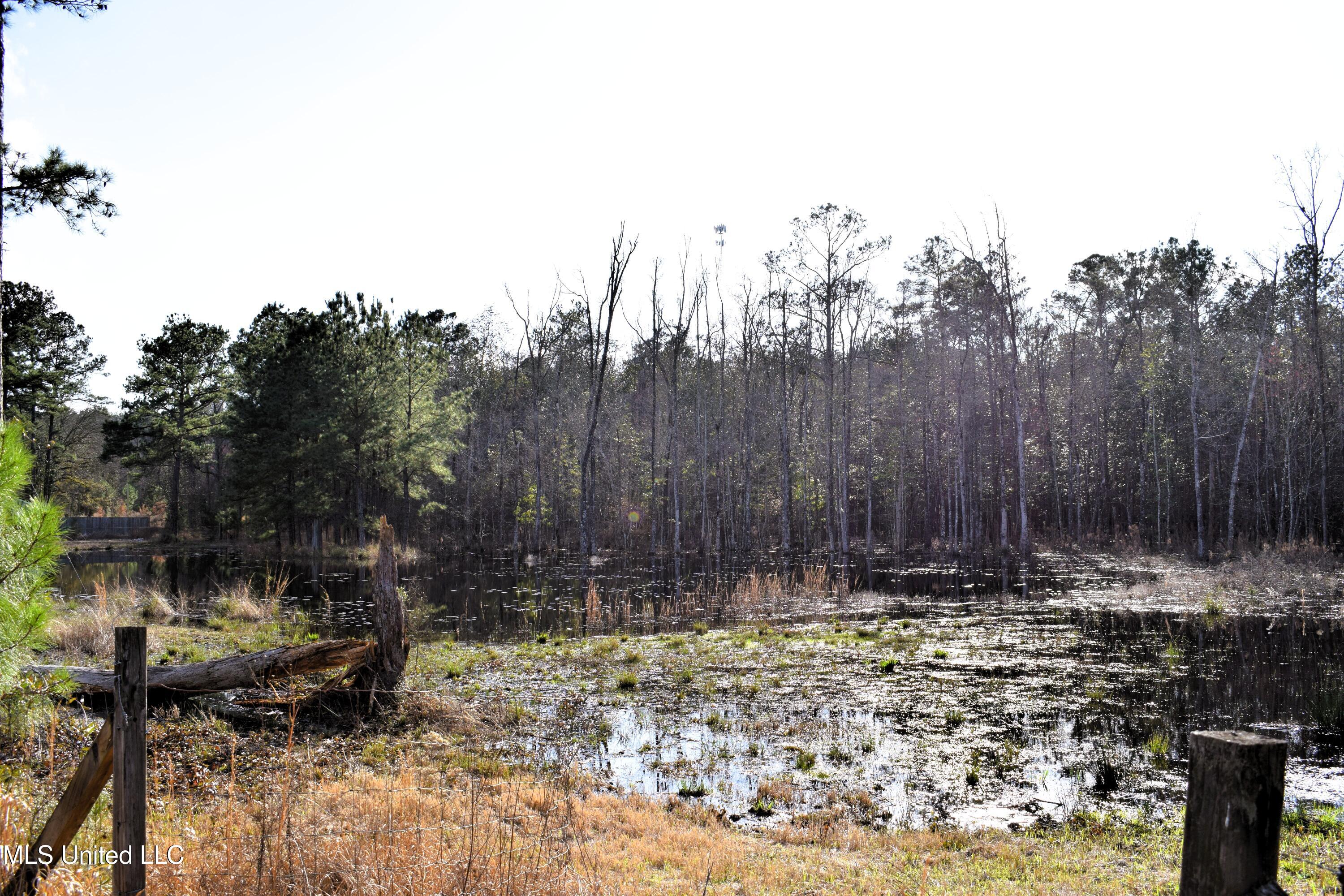 21.61 Ac Hwy 26, Lucedale, Mississippi image 15