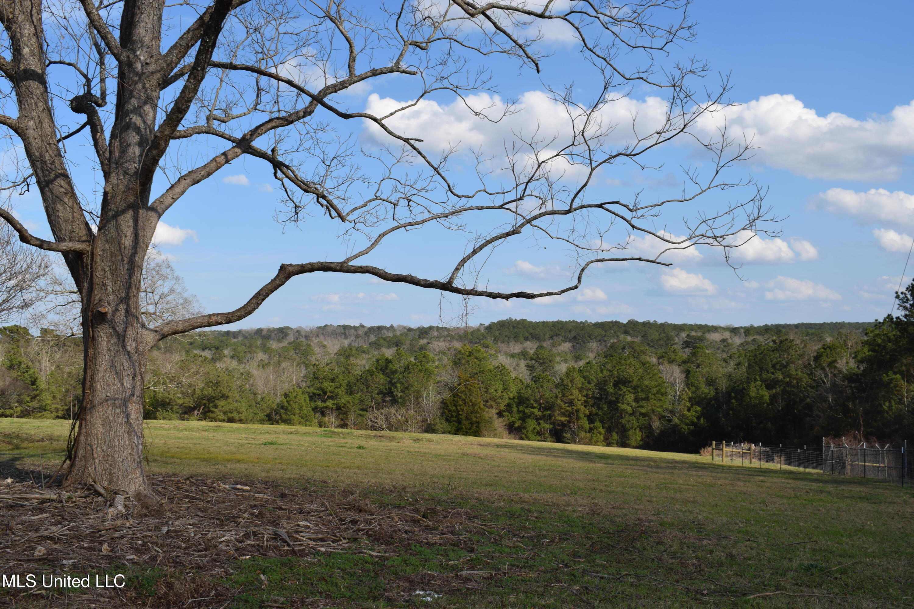 21.61 Ac Hwy 26, Lucedale, Mississippi image 1