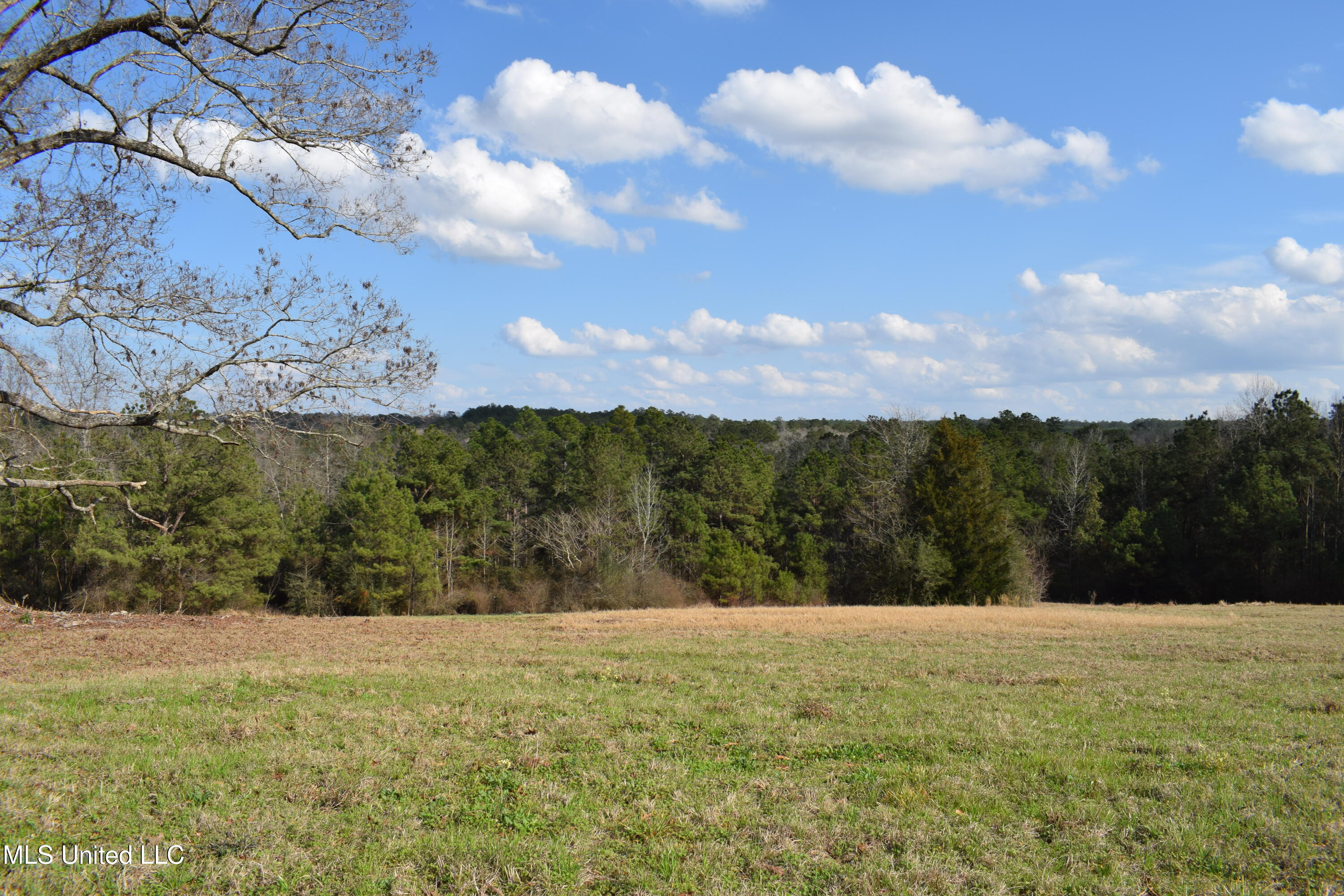 21.61 Ac Hwy 26, Lucedale, Mississippi image 3