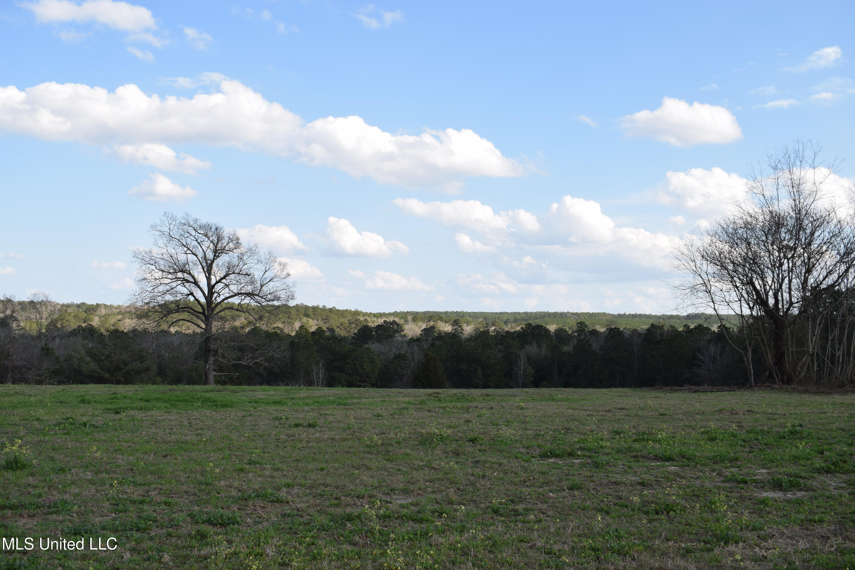 21.61 Ac Hwy 26, Lucedale, Mississippi image 5