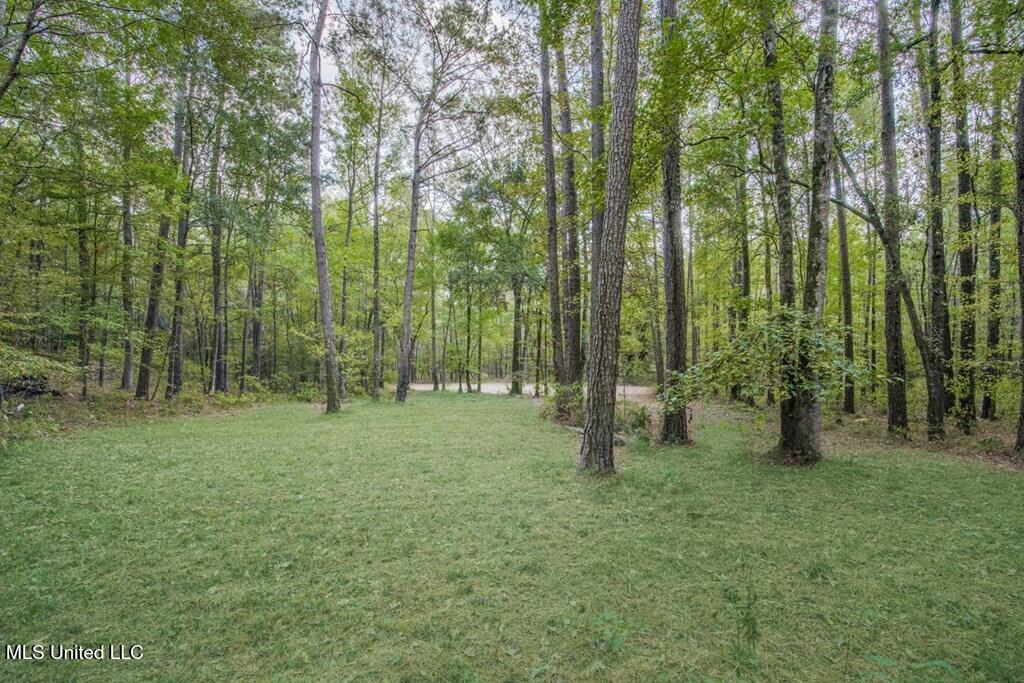 3200 Beaver Creek Road, Woodville, Mississippi image 14