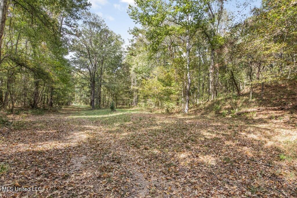 3200 Beaver Creek Road, Woodville, Mississippi image 13