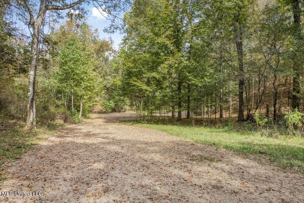 3200 Beaver Creek Road, Woodville, Mississippi image 17