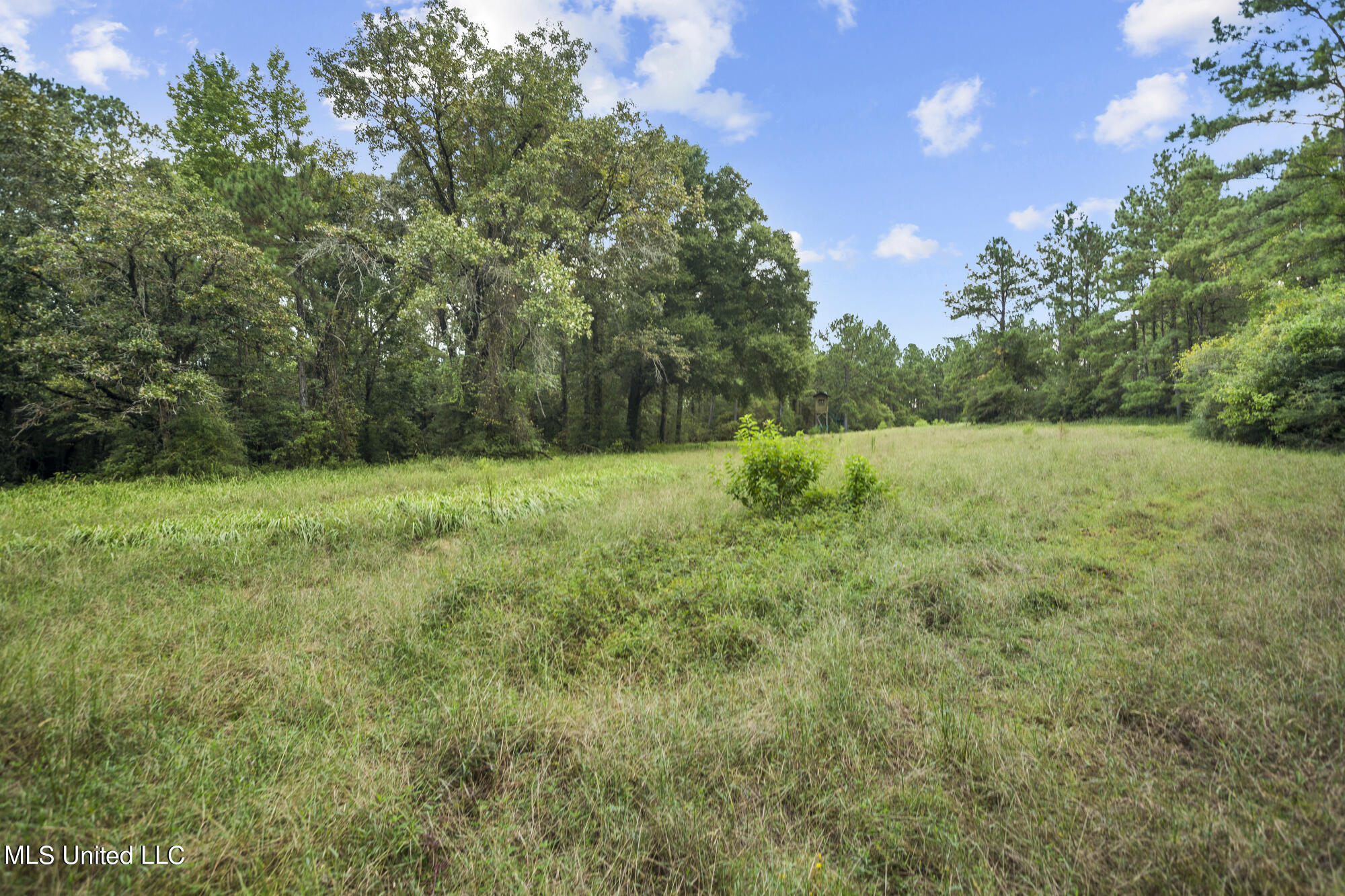 42 Tom Miller Road, Leakesville, Mississippi image 9