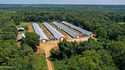 Vacant Land For Sale - 7749 Hickory Little Rock Road<br/> Decatur, MS 39327