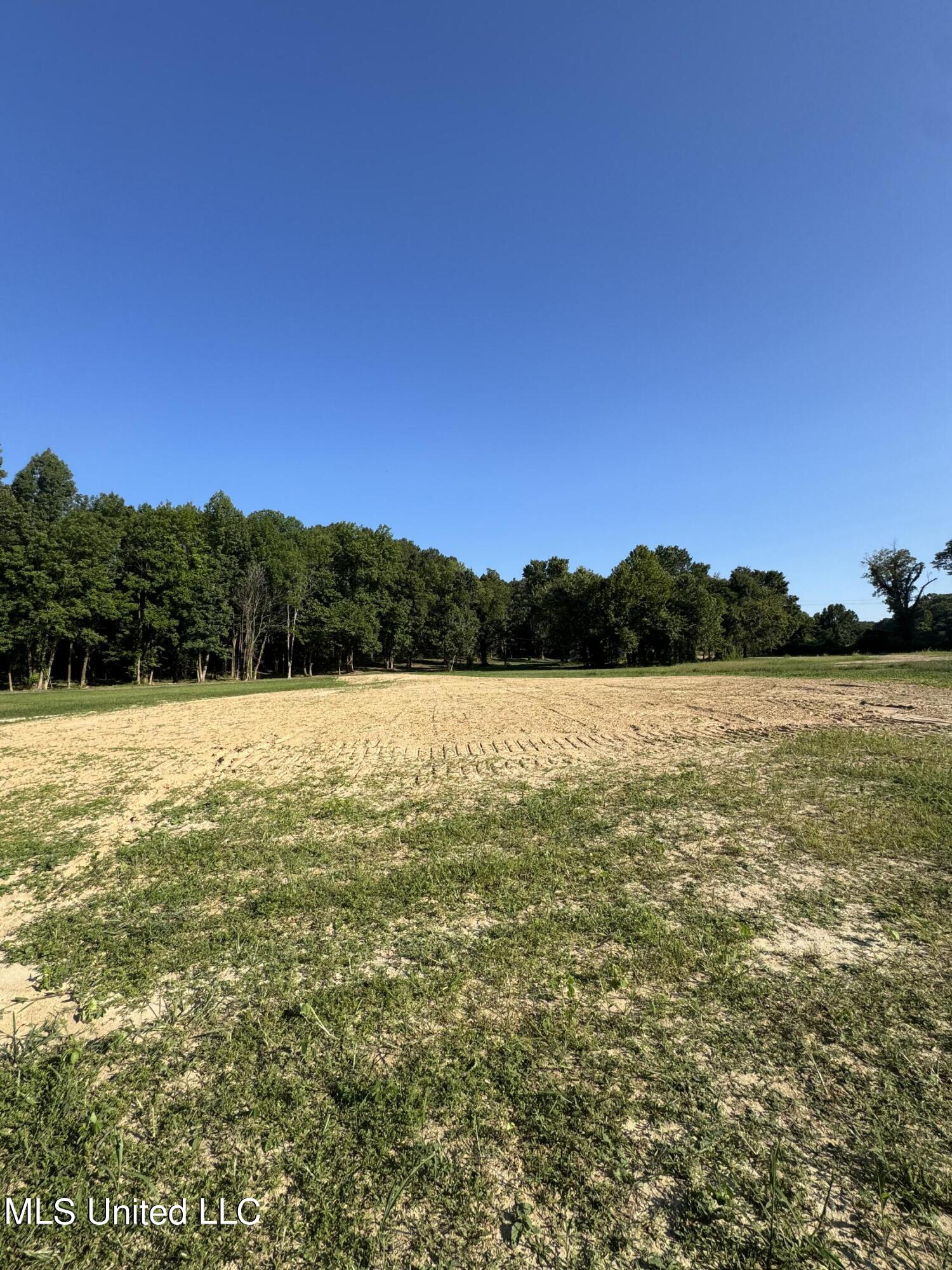 Holly Springs Road, Hernando, Mississippi image 7