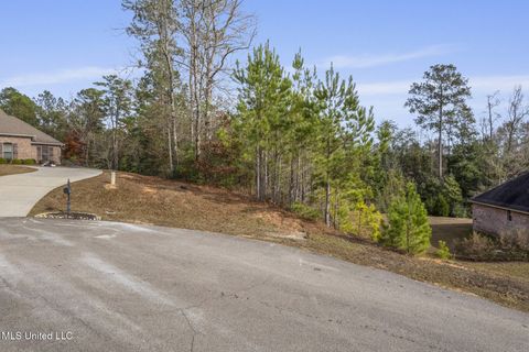 Vacant Land For Sale - 108 Creedmoor<br/> Lamar County, Hattiesburg, MS 39402