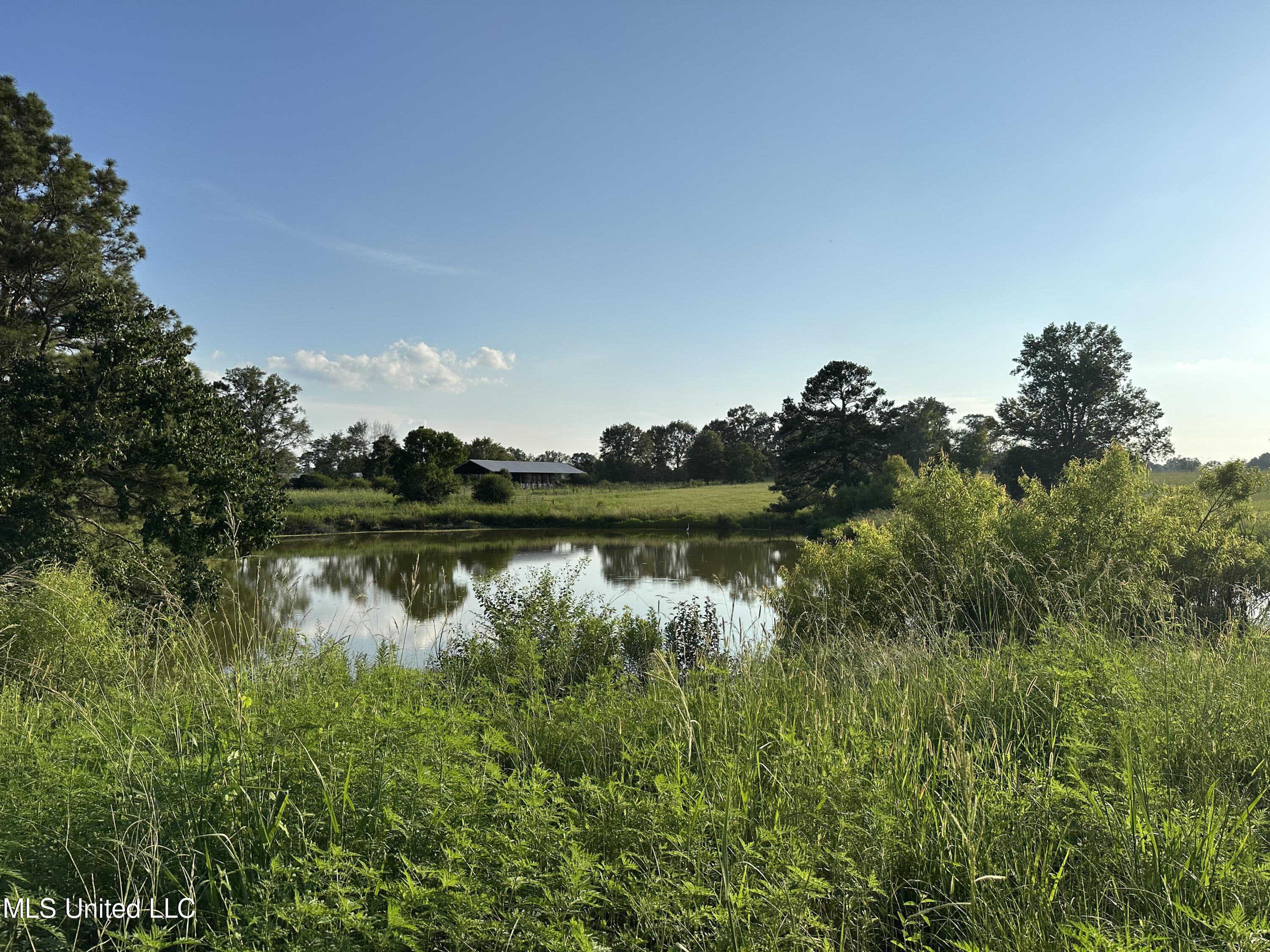 1002 Ms-532, Mount Olive, Mississippi image 7