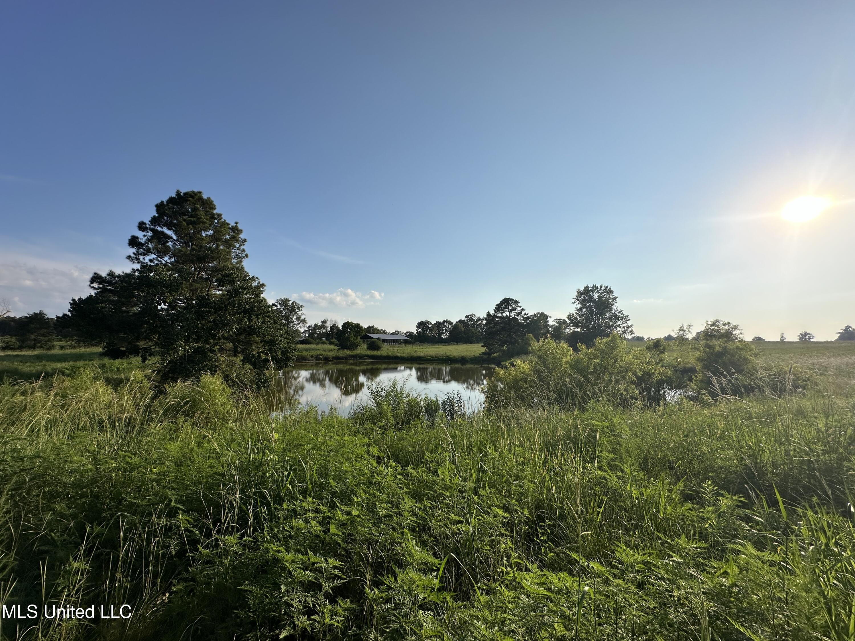 1002 Ms-532, Mount Olive, Mississippi image 6