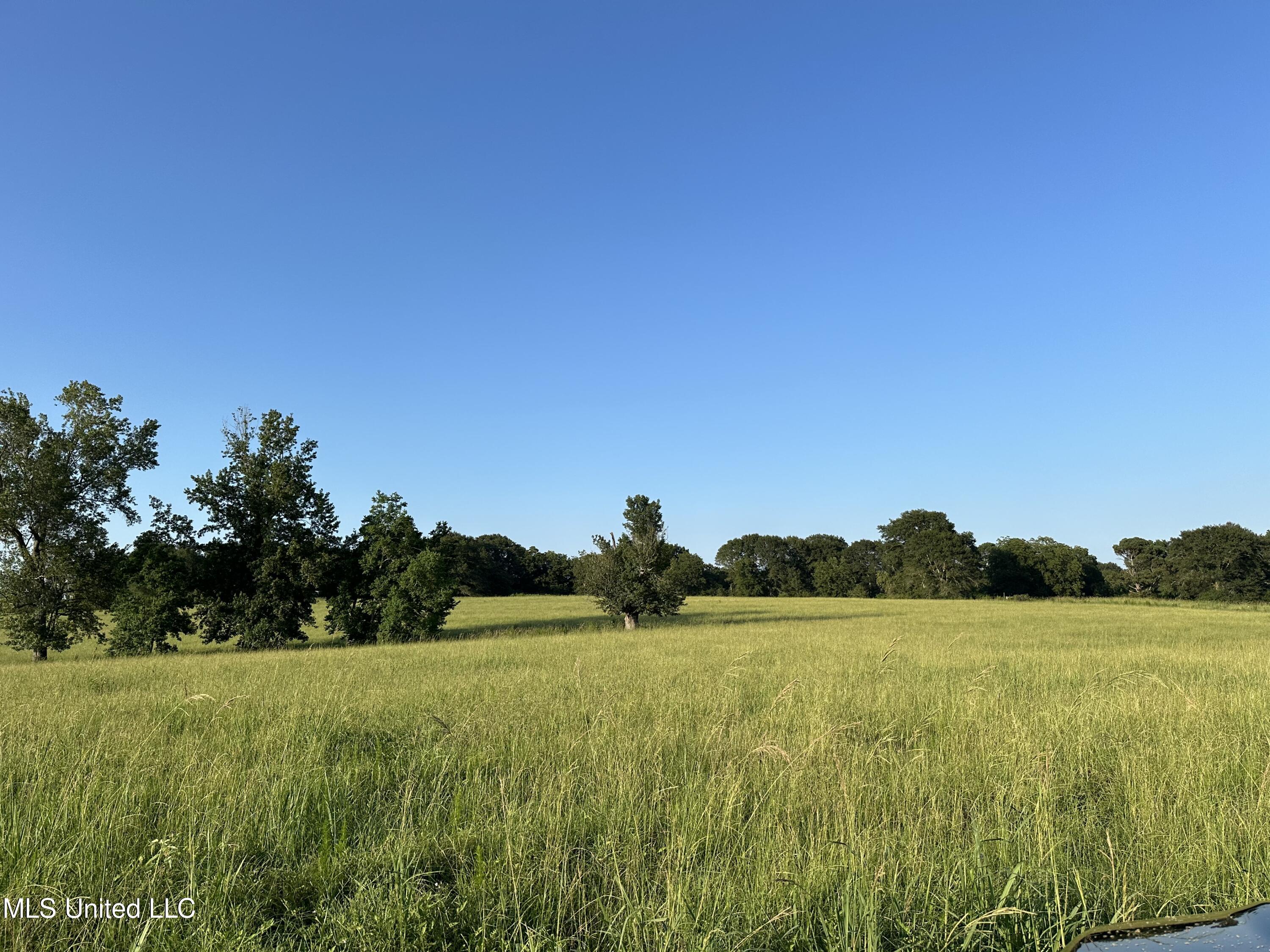 1002 Ms-532, Mount Olive, Mississippi image 8