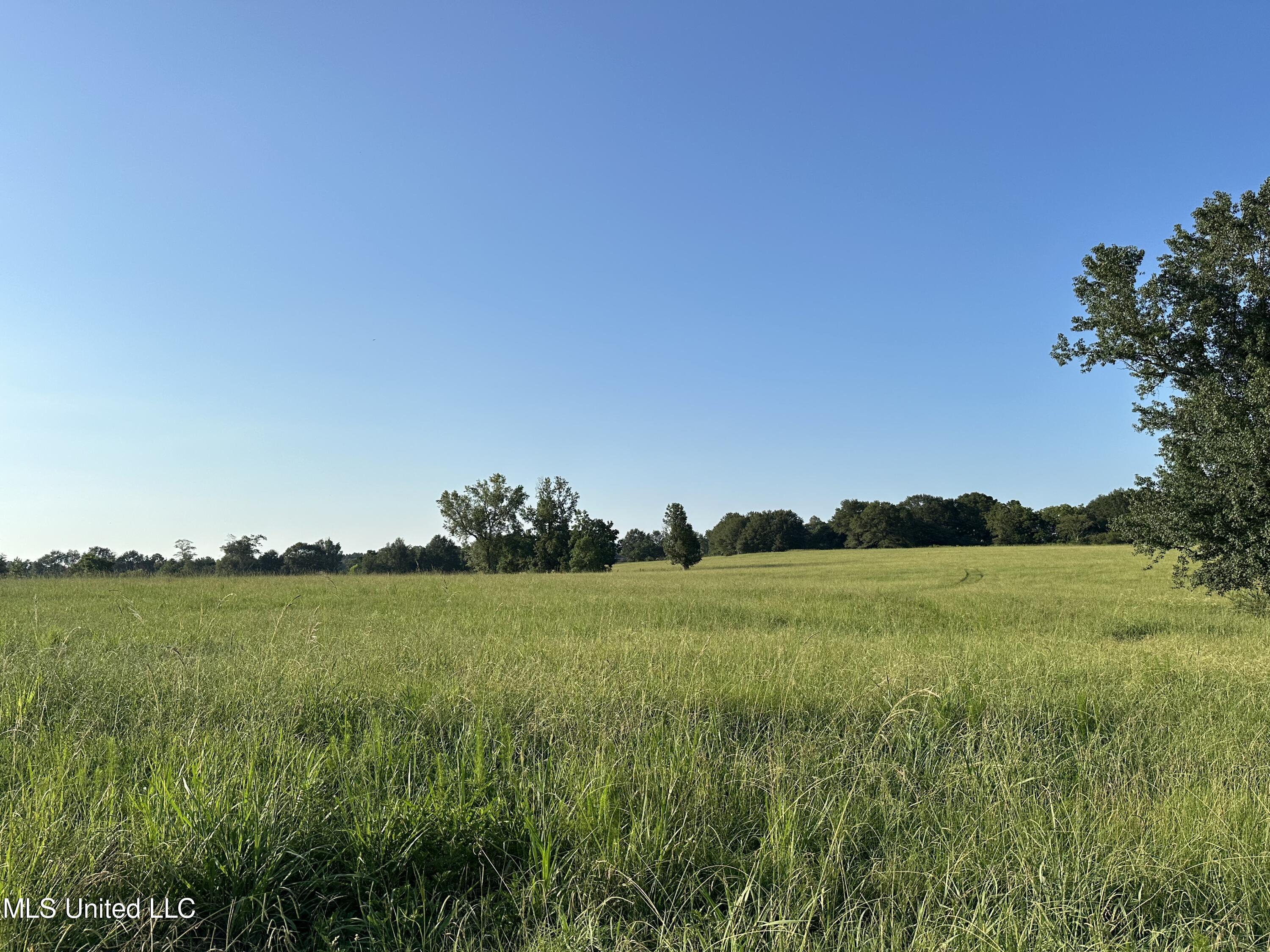 1002 Ms-532, Mount Olive, Mississippi image 12