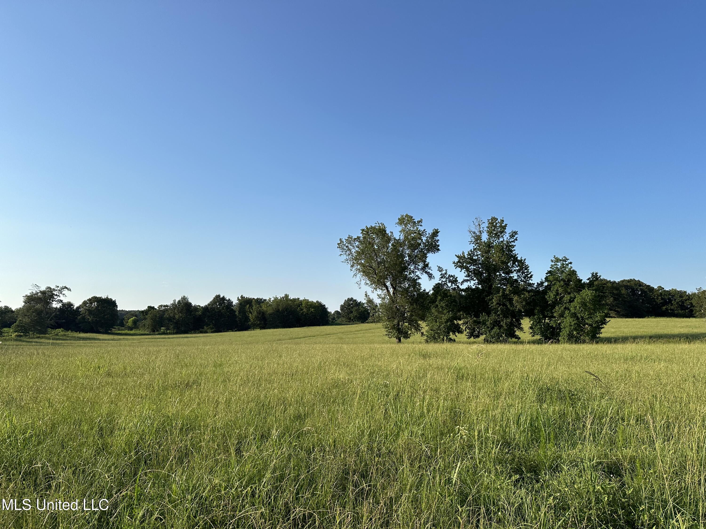 1002 Ms-532, Mount Olive, Mississippi image 9