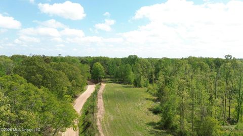 Vacant Land For Sale - Stevens Rd<br/> Yazoo County, Yazoo City, MS 39194