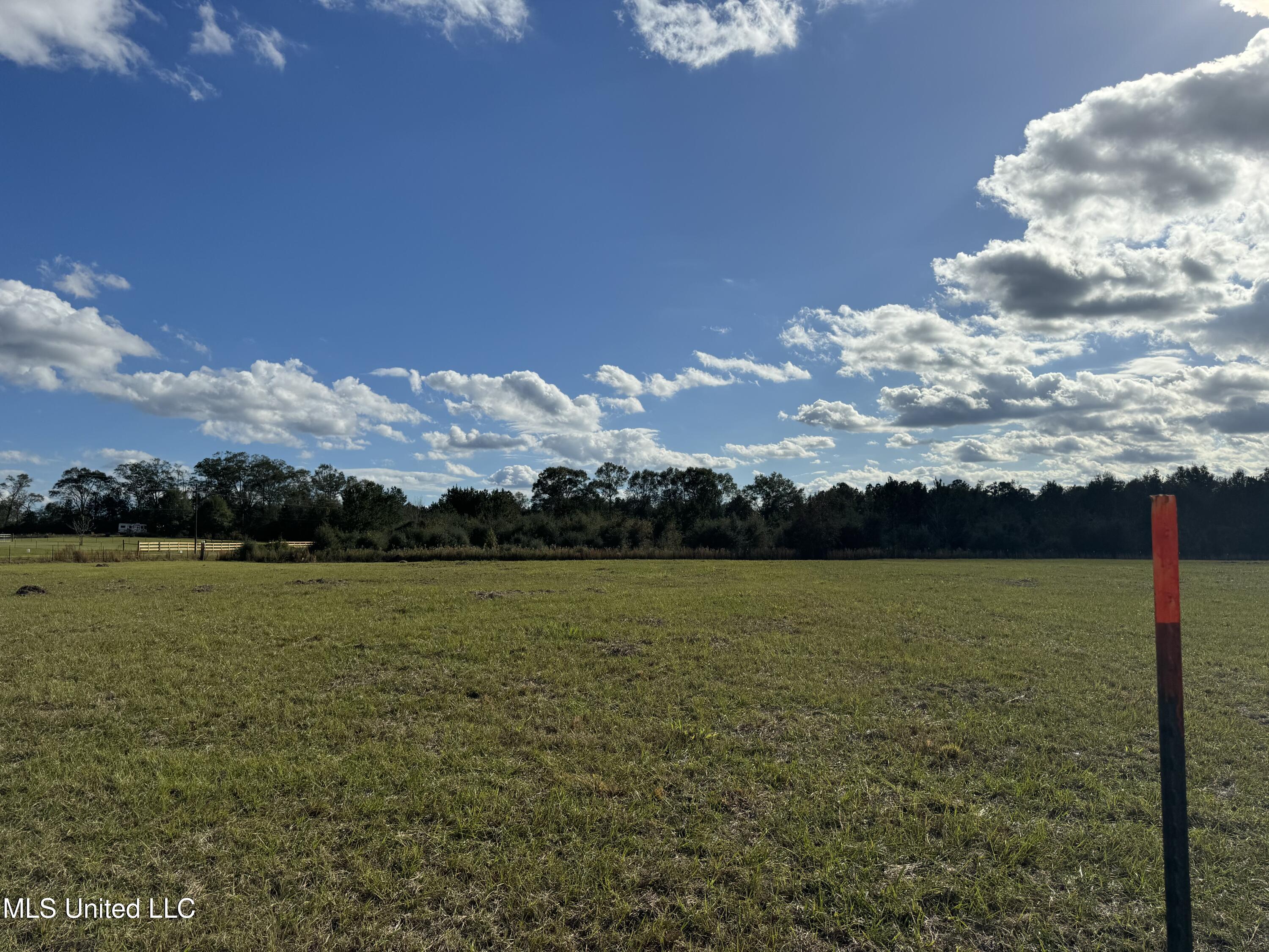 162 Orvelle Lee Rd, Poplarville, Mississippi image 9