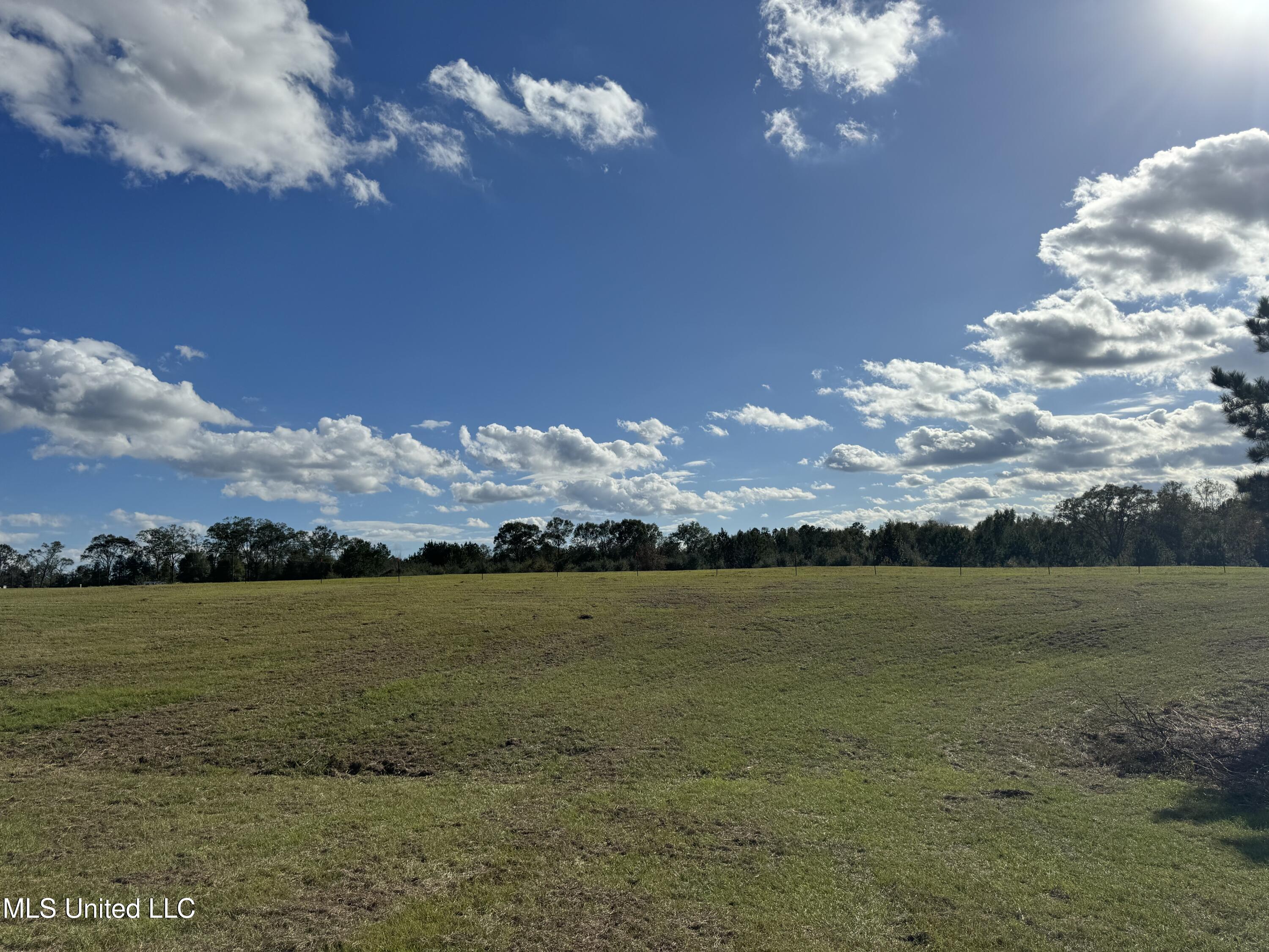 162 Orvelle Lee Rd, Poplarville, Mississippi image 10