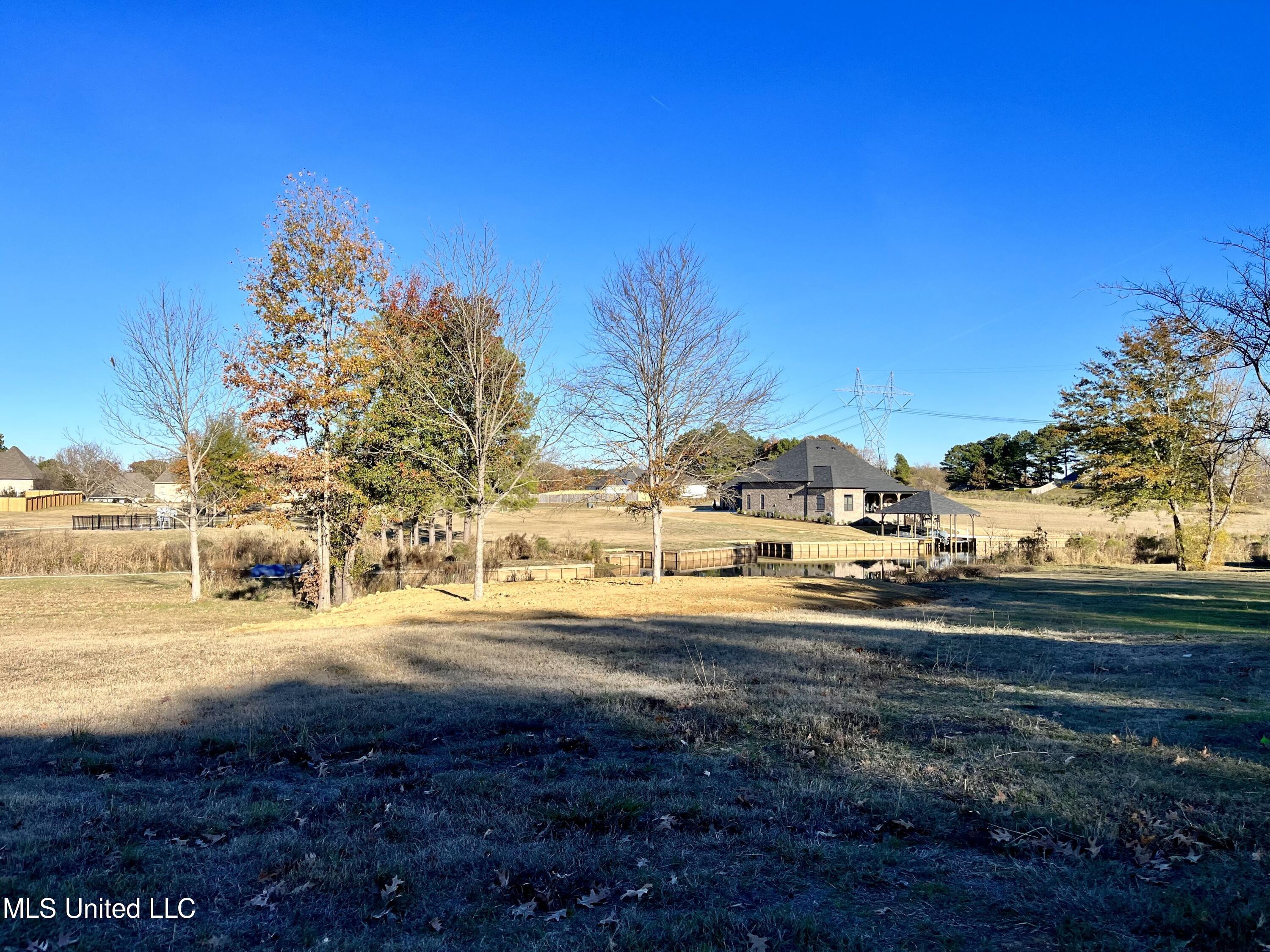 209 Harbor View Drive, Madison, Mississippi image 38