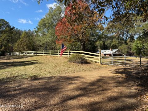 Vacant Land For Sale - 3368 Ms-17<br/> Pickens, MS 39146