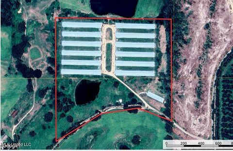 Vacant Land For Sale - 544 E Scr 503 B<br/> Magee, MS 39111