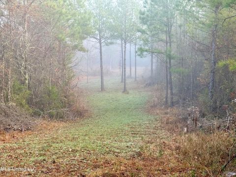 Vacant Land For Sale - 960 Old 51 Road<br/> Pickens, MS 39146