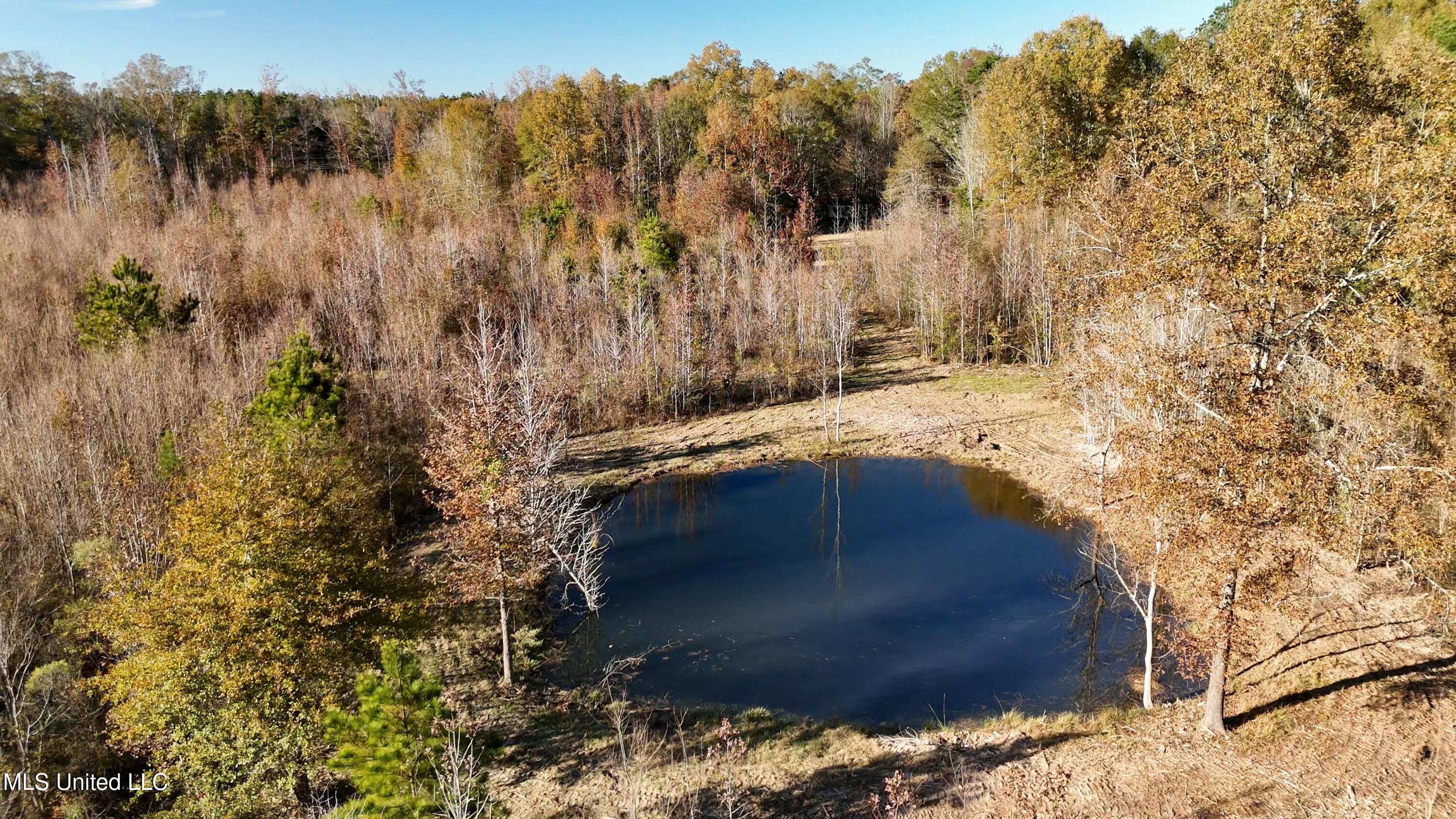 5646 Us-80, Pelahatchie, Mississippi image 9