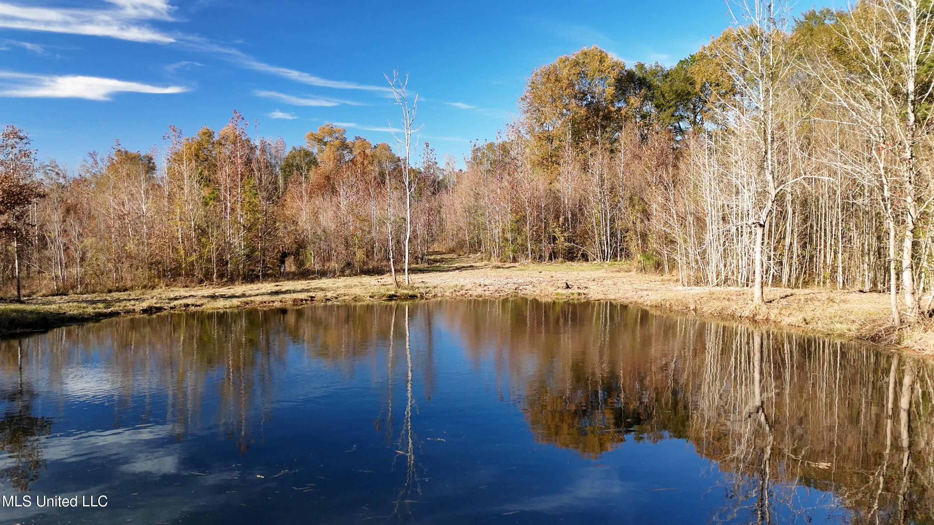 5646 Us-80, Pelahatchie, Mississippi image 6