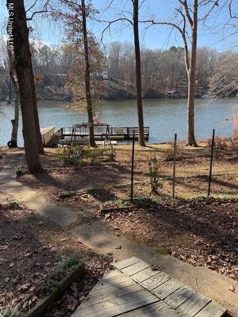 Homes For Sale - 908 Lakeview Drive<br/> Ashland, MS 38603