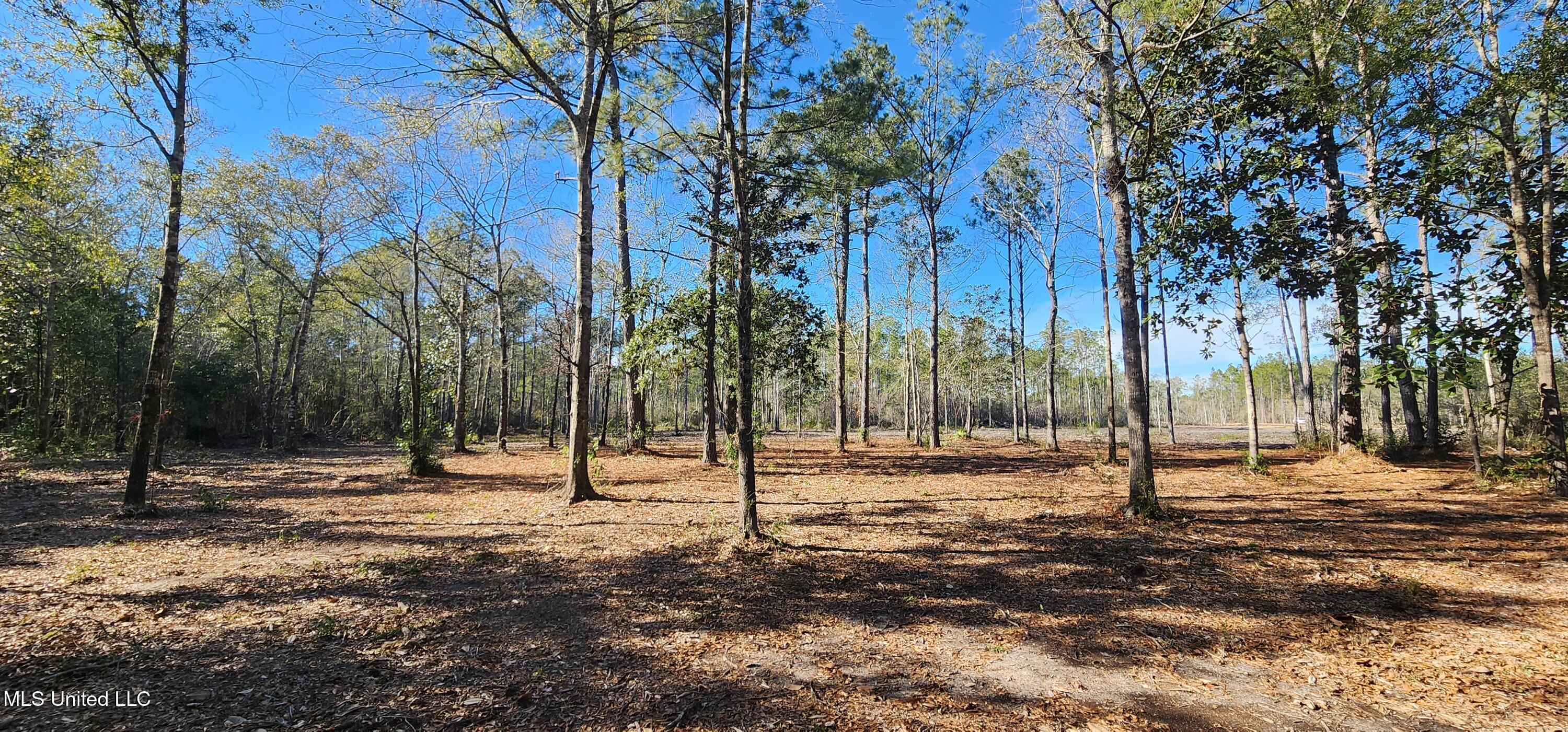 40 Acres Runnymede Road, Pass Christian, Mississippi image 11